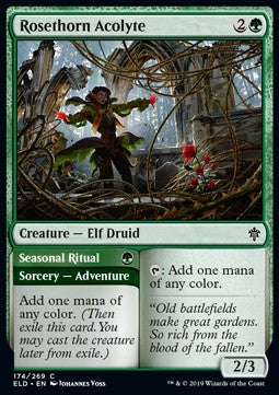 Rosethorn Acolyte // Seasonal Ritual