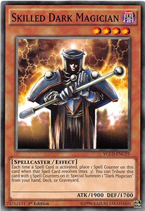 Skilled Dark Magician - Yugi's Legendary Decks (Common) [YGLD-C19]