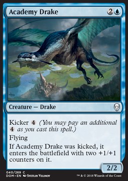 Academy Drake