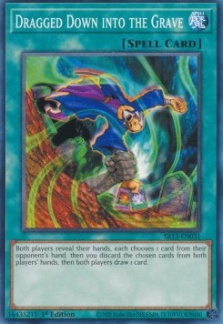 Dragged Down into the Grave - Structure Deck: Dark World (Common) [SR13-031]