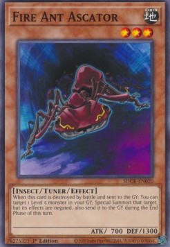 Fire Ant Ascator - Structure Deck: The Crimson King (Common) [SDCK-020]