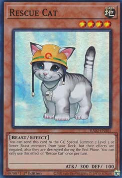 Rescue Cat (V.1 - Super Rare) - 25th Anniversary Rarity Collection II (Super Rare) [RA02-001]