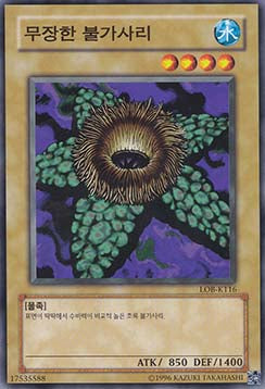 Armored Starfish - Legend of Blue Eyes White Dragon (Korean) (Common) [LOB-KR-116]