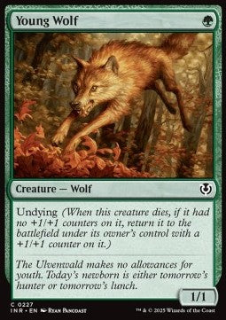 Young Wolf - Innistrad Remastered (Common) [INR-227]