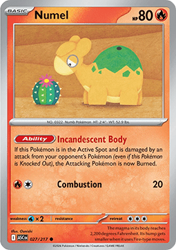 Numel